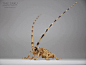 日本艺术家用竹子编织出不可思议的昆虫，看完细节真的会跪服！