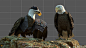【新提醒】影视制作特辑_老鹰、旗帜和岩石特效制作解析-Rock,Flag,and Eagle VFX Breakdown - http://www.cgdream.com.cn