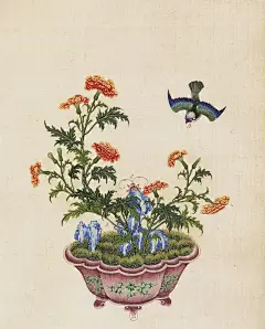 花卉虫鸟盆景图 清 佚名 - 小红书