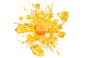 b9b94f9546b5fb38ca5fb227da16bfb7