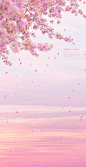 c11521ec27ac4c85a8b740916b259a9a2659f7ab1edc6-BqywbS_fw1200