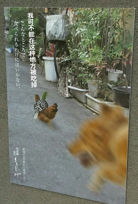 日本一家烤鸡肉串店的海报，惨萌惨萌的……...