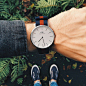 daniel wellington with wild.
