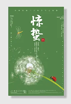 惊蛰二十四节气蒲公英