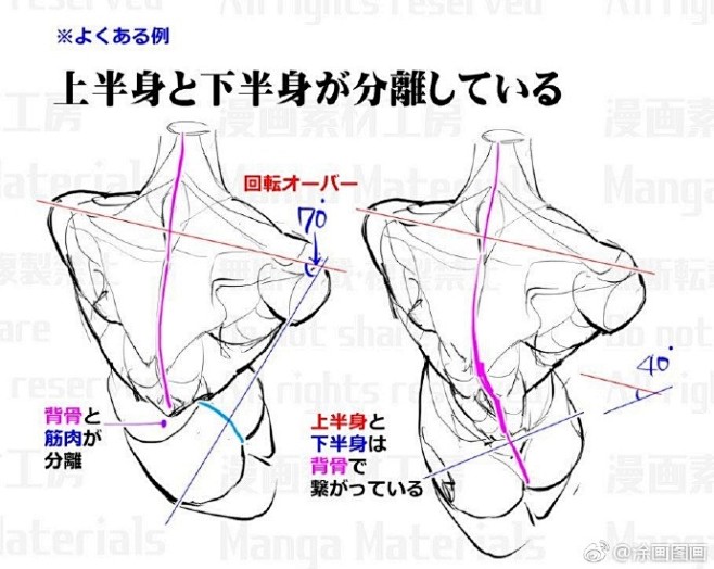 干货 . 动态与肌肉 ​​​​