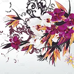 背景与矢量兰花花