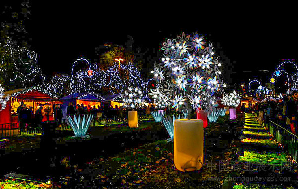 2014里昂灯光节花树造型灯饰设计