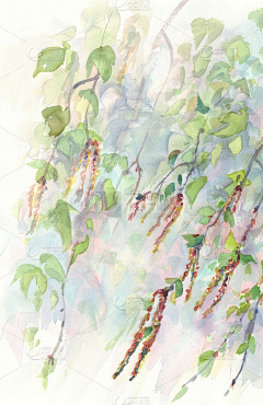 王卓蕾采集到插画 素材