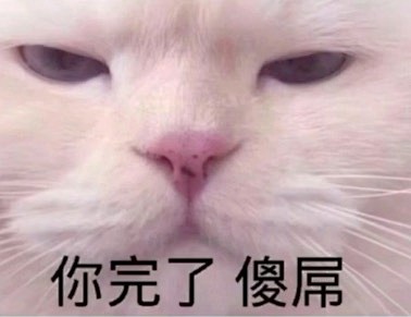 猫咪瞪眼图片表情包你完了沙雕jpg