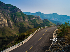 吃橙子的橘采集到公路素材