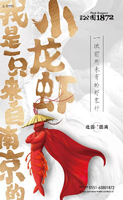 Bombas•采集到活动
