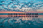 Camels in Broome, Australia by Shahar Keren on 500px