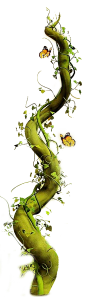 植物 草  绿叶 大树 叶子 绿色植物  盆栽 [ QQ群61686914 ] 加群！！素材软件插件免费送！！！