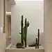 Light &amp; Luxe Modern Home Interiors From China : Light, luxurious modern home interiors with chic white decor and high-end furniture. Featuring a double height living room, skylights, and a cactus courtyard.