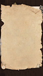 03.031