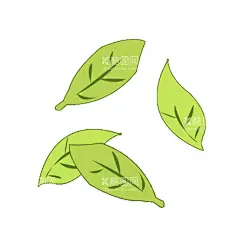 新鲜绿色茶树茶叶嫩芽元素    - 源文件下载【酷图网】茶,茶叶,嫩芽,茶树,芽头,嫩叶,鲜叶,特写,普洱茶,茶芽特写,茶芽素材,云南普洱茶,大叶种茶树