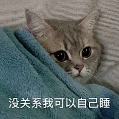 一组超可爱猫咪表情包合集  #表情包# #今日最佳# #搞笑图片# ​