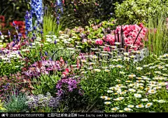 春季花卉 春季美丽 花团锦簇 五颜六色 园林艺术 春天园林 纯洁 花朵开花 野花 草丛 壁纸 小清新 淡雅别致 绿意盎然 鲜花
【参数】 19.21 MB | JPG | 6720×4480 | 240DPI | RGB