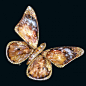 Butterfly brooch by artist-jeweler Wallace Chan