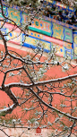 彤阶飞雪，青枝寒酥。
12月11日，北京迎来今冬初雪。

白雪镶红墙，碎碎坠琼芳。
在雪中，故宫安静得不动声色。
琉璃金顶玉尘层叠，
朱墙廊壁银星闪灼。
极目远望，丹宸碧瓦与雪相接，
与天一色。

