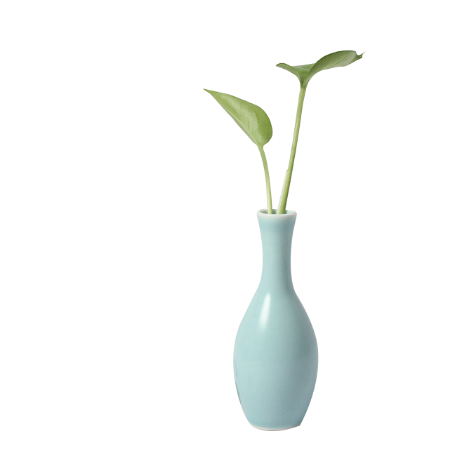 一只vase