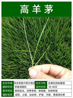 ++N采集到绿化（单体）