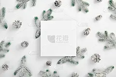 有雪和松果的常绿树枝。水平构图，平铺，俯视图。雪林创意简约布局。白皮书空白
