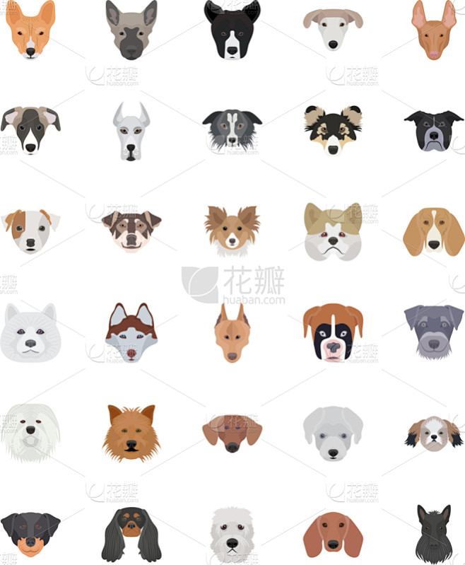 狗,图像,喜乐蒂牧羊犬,边境牧羊犬,杜宾犬,粗毛柯利狗,美国斗牛梗,松狮,矢量,古英格兰牧羊犬