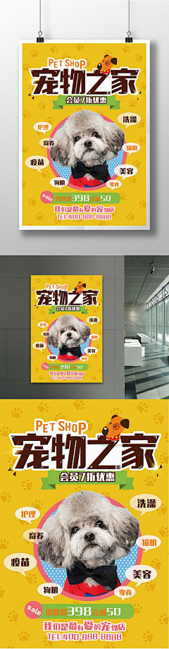 JULY兔子大贤采集到宠物店海报