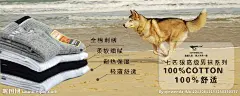 淘宝海报 图片轮播 宣传海报 首页宣传图  展示图 设计图 七匹狼海报