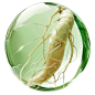 Slender Fresh Ginseng White background, green glass bubbles, wrapped around a whole fresh ginseng, 3D sense of space, soft edges, translucent colours, macro photography, ray tracing, perspective effects, abstract composition, clear details, dynamic lines,