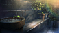 Anime 1920x1072 Weathering With You rain plant pot anime water plants