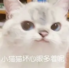 110张可爱的猫猫表情包 - 知乎