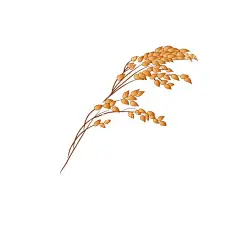 高粱  - 源文件下载【酷图网】高粱,玉米,五谷杂粮,燕麦,水稻,麦穗,小米,粮食,口粮,主要粮食,小麦,农产品,农产品线稿,农产品插画,粮食插画,粮食素材,粮食手绘