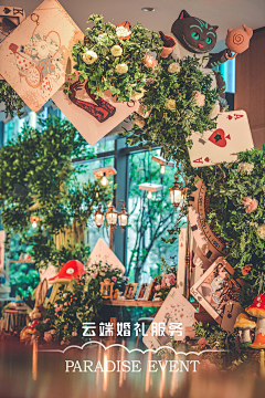 轩高雅采集到萤火虫