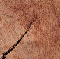 承载时间印记：木纹材质贴图(2)