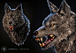 WOLF BREAKDOWN, Nakshatra Solanki : Its been a few years now since we wanted to make a Wolf. This again like my earlier post is an attempt at pushing our benchmark set for Realtime Fur at LRZ. I am sharing this breakdown to help anyone interested in under