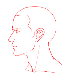 com图头像俯视平视仰视透视图z小夜子采集到人体采集photo.weibo.