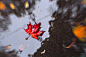 Photograph in the puddle by Svetlana Olshanskaya on 500px