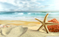 starfish_on_the_beach_4-wallpaper-1920x1200