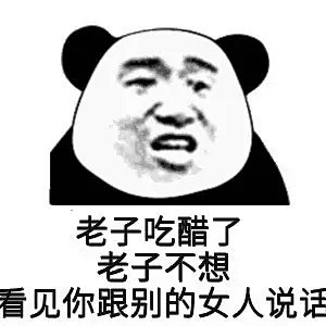 老子吃醋了老子不看见你女人说熊猫头表情包