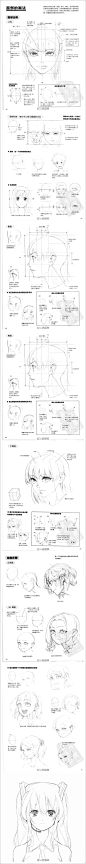 sai 头部 比例 面部画法 教程