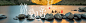 森舟茶业 #Banner# #Web# #UI#