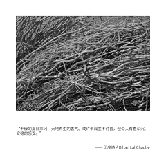 林小五524采集到兰凝诗精粹水