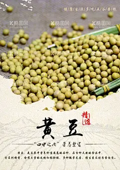 黄豆  - 源文件下载【酷图网】黄豆,大豆,五谷杂粮,餐饮,文化,谷物,食疗五谷丰登,农产品,山货,黄豆海报,黄豆包装,黄豆展板,黄豆背景,黄豆早餐,大豆海报,大豆图,大豆五谷杂粮,大豆包装,大豆背景,大豆饮食,大豆美食,大豆谷物,饮食,养生,粗粮稻谷,麦子,玉米,芝麻,红豆,绿豆,四季豆,豆制品,豆浆,膳食养生