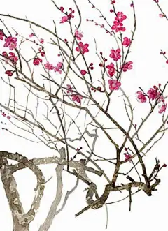江北不如南地暖，江南好断北人肠。胭脂桃颊梨花粉，共作寒梅一面妆。-----卢撰