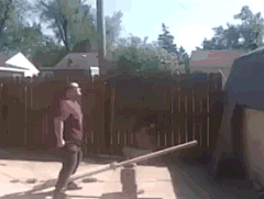 独孤的嘤嘤嘤采集到GIF