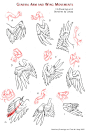 #绘画参考# 动物翅膀与人体胳膊小tips~~\(≧▽≦)/