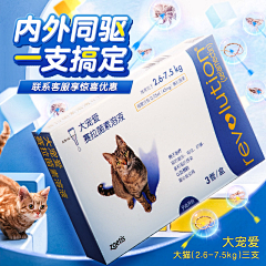 略略略略略~~~~采集到日常主图