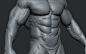 Body Builder, siamak roshani : Body builder 

You can buy the model here : http://www.3dscanstore.com/index.php?route=product/product&path=73&product_id=170